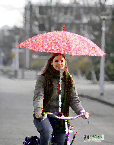 Comment tenir mon parapluie en vélo électrique - Je ne sais pas comment m'abriter de la pluie en velo electrique - protection pluie en velo electrique - http://www.lhebdodustmaurice.com